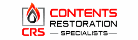 Logo For Content Restoration Services